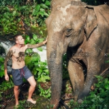 demo-attachment-25-traveler-with-elephant-PYYEKQD